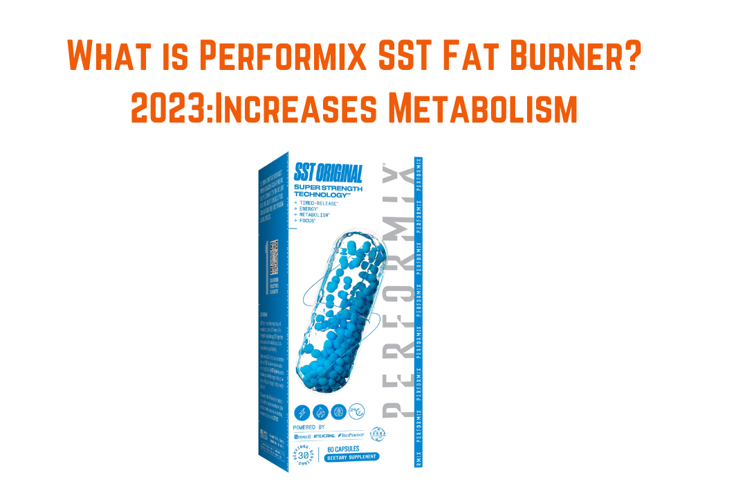 What is Performix SST Fat Burner